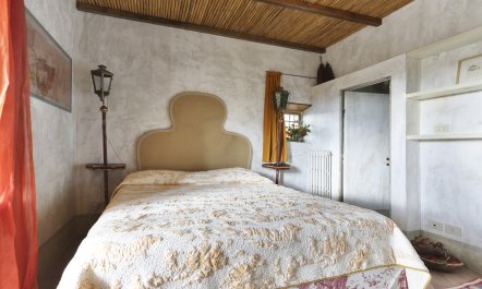 Tuscan Olives & Cypresses 0