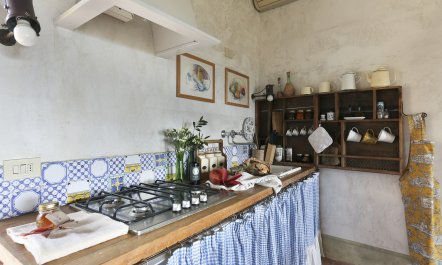 Tuscan Olives & Cypresses 7