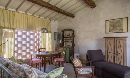 Tuscan Olives & Cypresses 6