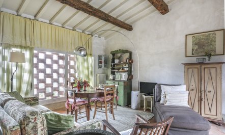 Tuscan Olives & Cypresses 4