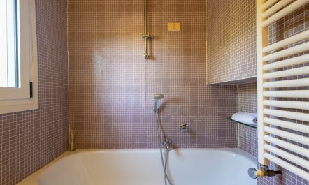 The Florentine Artisan 9