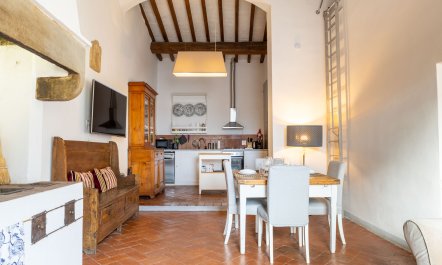 Renaissance Reflections 3