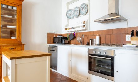 Renaissance Reflections 5