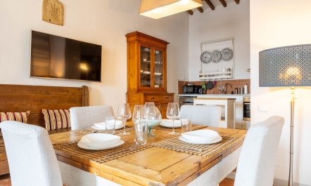 Renaissance Reflections 4