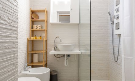 Renaissance Reflections 8