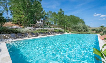 The Hills of Montaione