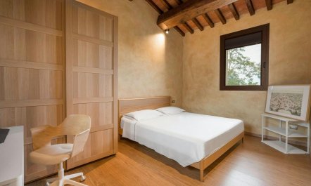 The Hills of Montaione 7