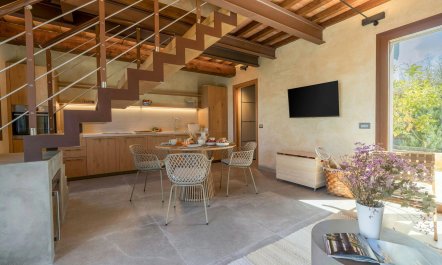 The Hills of Montaione 3