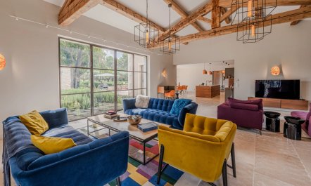 Lavender & Alpilles 1