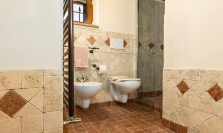 The Hill of Lights 8