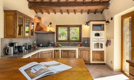 The Hill of Lights 4