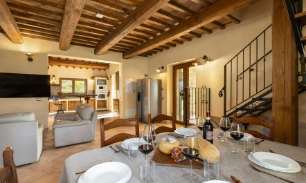 The Hill of Lights 1