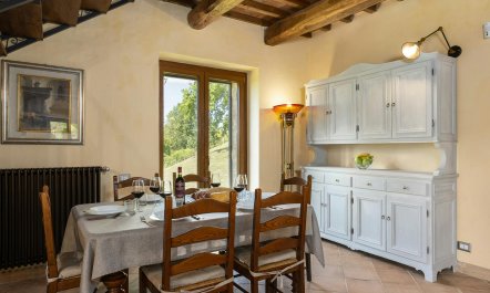 The Hill of Lights 5