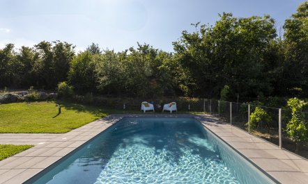 Etna Vineyard 4