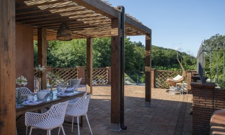 Etna Vineyard 6