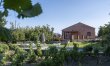 Etna Vineyard 2