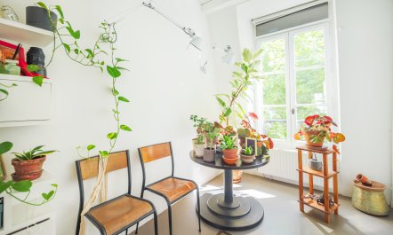 Under the Parisian Sky 1