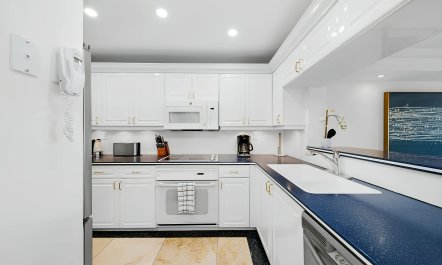 The Bay & the City 8