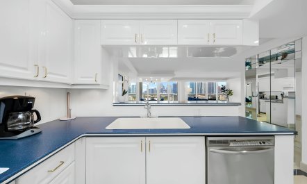 The Bay & the City 7