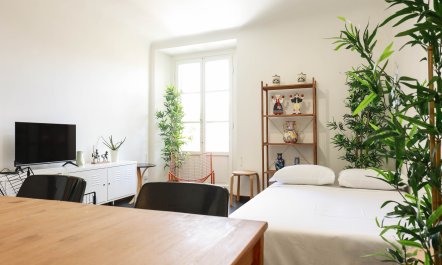 On Top of Florence 6