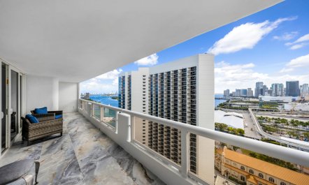 Vibrant View 7