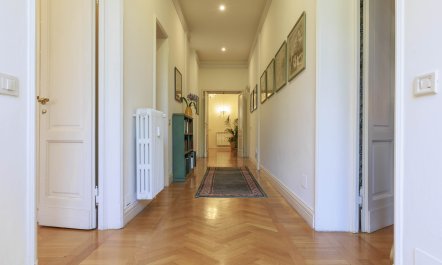 Michelangelo's Palette 8