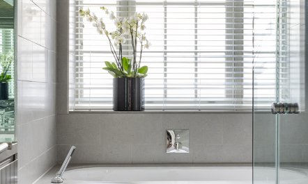 Bentinck Platinum Suite II 8