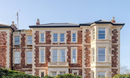 Clifton Rose 6