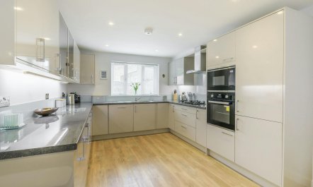 Sea Spray Silhouette 8