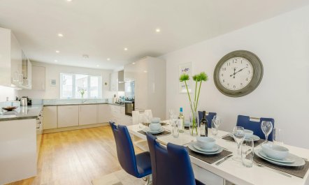 Sea Spray Silhouette 6