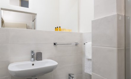 The Florentine Rose 9