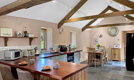 Widehay Barn, Mariansleigh 3