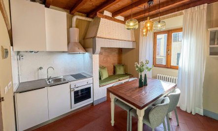 Ode to Michelangelo 4