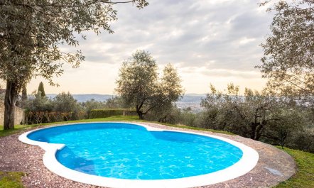 Garden of Florence 1