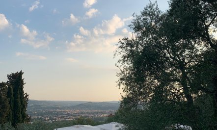 Garden of Florence 3