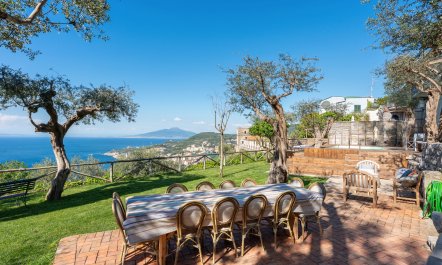 Mediterranean Pine 8