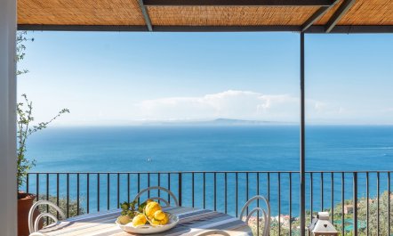 Mediterranean Pine 5