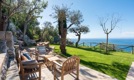 Mediterranean Pine 6