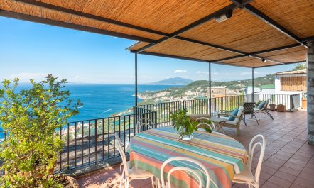 Mediterranean Pine 4