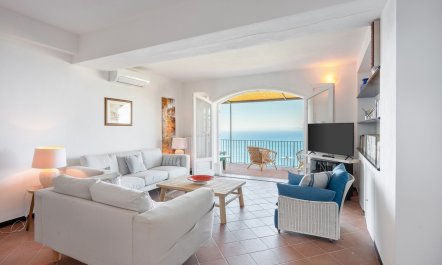 Mediterranean Pine 1