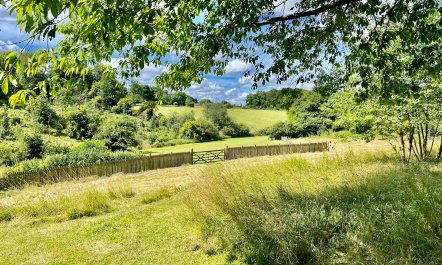 Chiltern Meadows 3