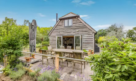 The Vegetable Garden 2