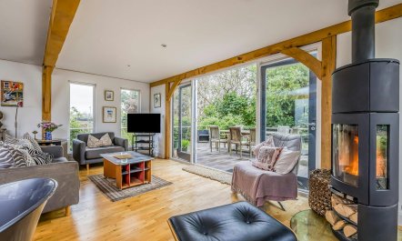 The Vegetable Garden 5