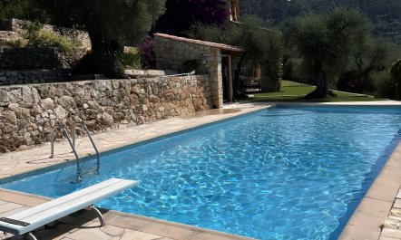 Le Jardin des Oliviers 0