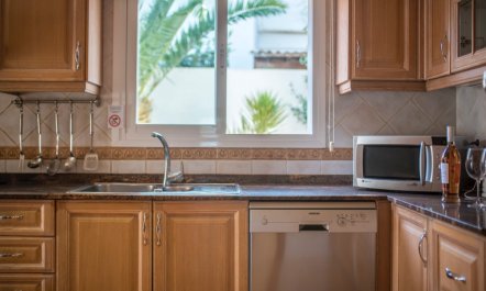 Bougainvillea Blush 9