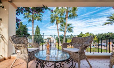 Bougainvillea Blush 5