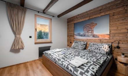 Dolní Morava Apartment 2 3