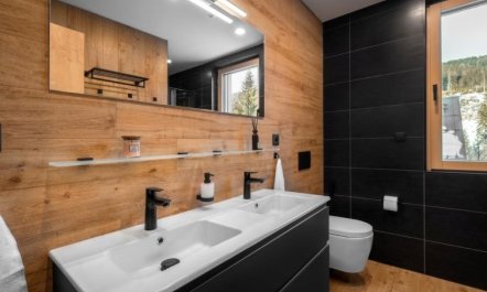 Dolní Morava Apartment 2 5