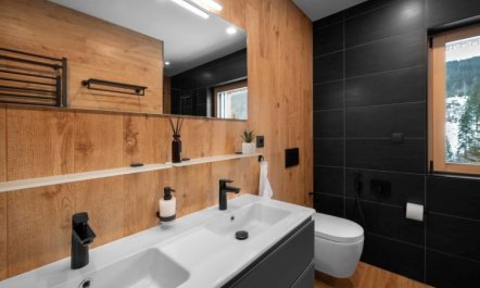 Dolní Morava Apartment 5 5