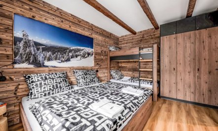 Dolní Morava Apartment 5 3